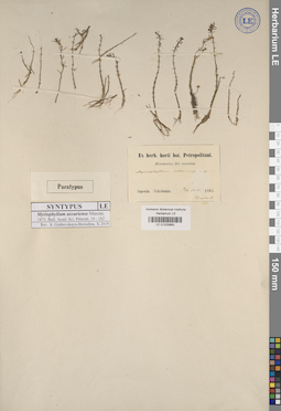 LE 01025883