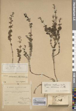 LE 01205099