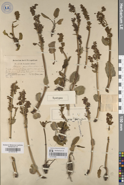 LE 01070284
