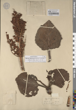 LE 01070351