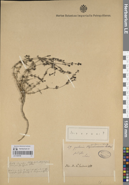 LE 01205108