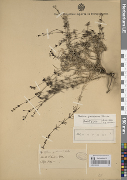 LE 01205109