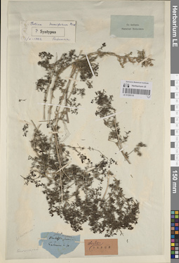 LE 01205110
