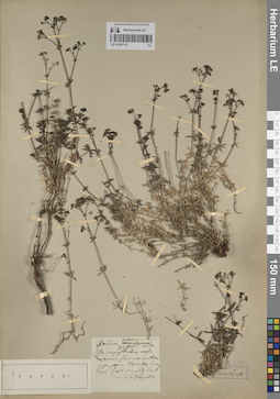 LE 01205115
