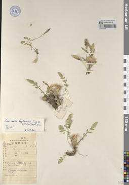 LE 01070390