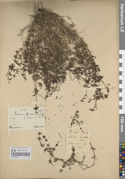 LE 01205116