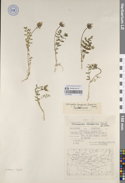 LE 01070391