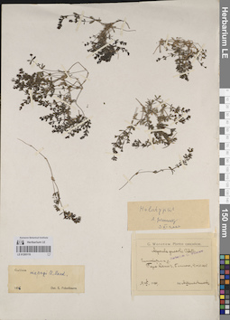 LE 01205119