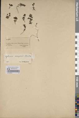 LE 01205122