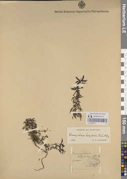 LE 01205127