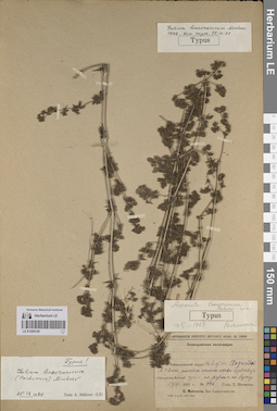 LE 01205129