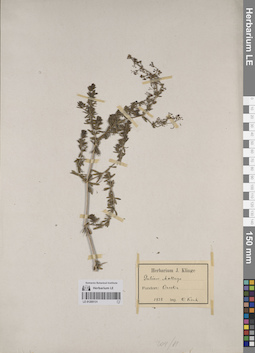 LE 01205131