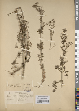LE 01205134