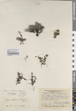 LE 01205136