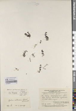 LE 01205137