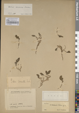 LE 01205142