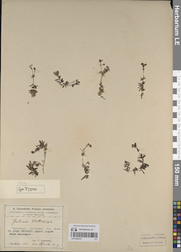 LE 01205147