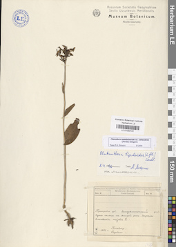 LE 01033141