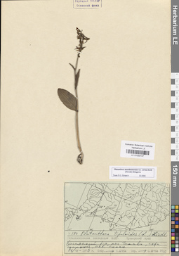 LE 01033147