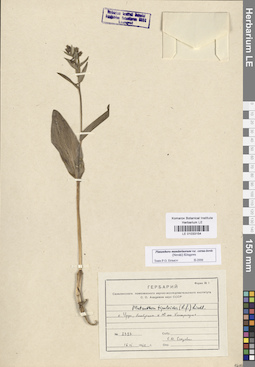 LE 01033154