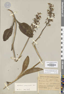 LE 01033164