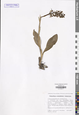 LE 01033171