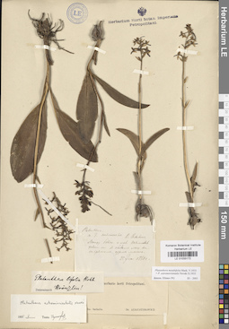 LE 01033172