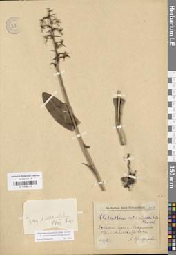 LE 01033175