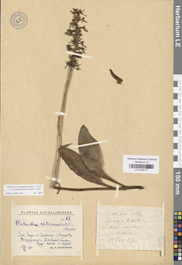 LE 01033177