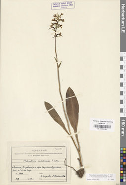 LE 01033182