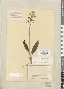 LE 01033190