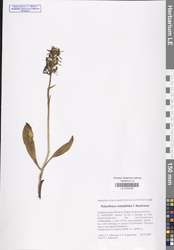 LE 01033193