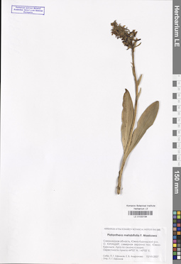 LE 01033194