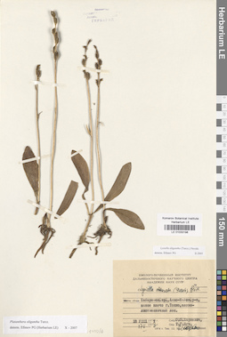 LE 01033198