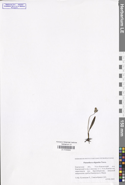 LE 01033202