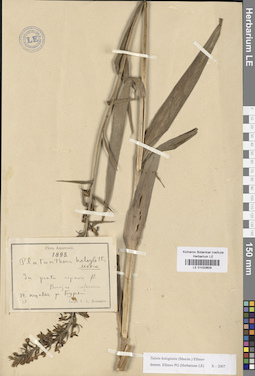 LE 01033609