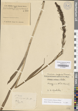 LE 01033611