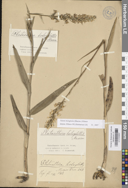 LE 01033637