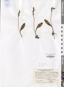 LE 01037682