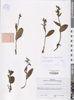 LE 01040765