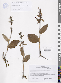 LE 01040766