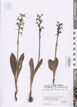 LE 01040802