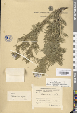 LE 01010373