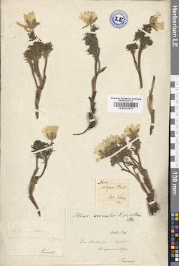 LE 01010374