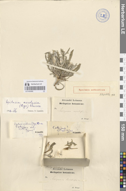 LE 01053095