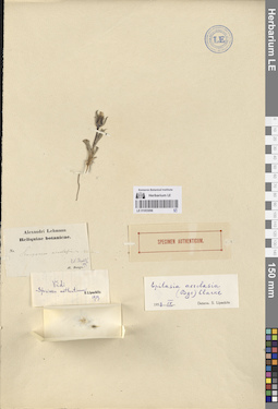 LE 01053096