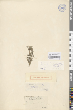 LE 01053097
