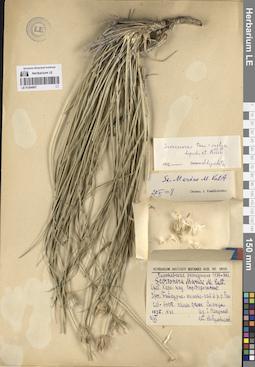 LE 01264907