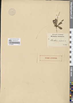 LE 01264938