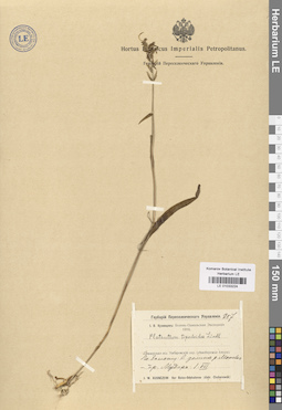 LE 01033224
